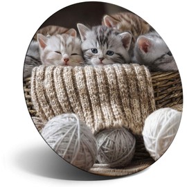 Destination Vinyl ltd Magnet for Refrigerator, Fridge - Adorable Cute Kittens Cat Cats for Office, Cabinet and Whiteboard, Magnetic Stickers, 8855