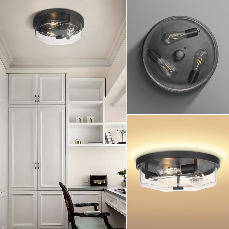 Luminzone Flush Mount Ceiling Light with Clear Glass Shade, 3-Light