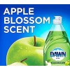 Dawn Ultra Dish Liquid Soap, Anti- Bacterial Apple Blossom Scent,