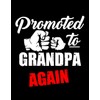 Baby Promoted To Grandpa Again Baby Announcement Notebook: 110 Pages,