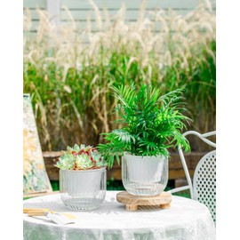 Josteve Selbstbewässernde Blumentöpfe für den Innenbereich, 16,5 cm, 2 Stück, Kunststoff-Blumentöpfe, Orchideen-Garten-Pflanzgefäße für Kräuter, Zimmerpflanzen, afrikanische Veilchen, sichtbarer