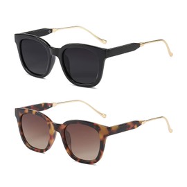 Dollger Retro Square Sunglasses for Women Classic Trendy Large Sunglasses Designer Ladies Shades 2 Packs