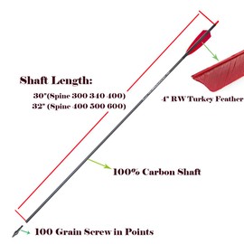 Pinals Archery 300 340 400 500 600 Spine Carbon Arrows for Compound Bows Traditional Recurve Bow Longbow 32 Inch Shafts Hunting Target Arrow 12PCS(Feather 400 32")