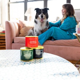 Companion Candles Pet Safe Wood Wick Candle - “Celebrate The Season Cinnamon & Sugar, Coconut Soy Wax Scented, Over 50 Hr Burn Time, Non-Toxic, Women-Owned, Made in USA (11.8 oz.)