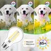 MAXvolador 60W Equivalent E26 LED Filament Light Bulbs, 850LM Neutral