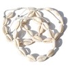 2002.wt Starfish Anklet Fashion Jewellery Made of Cowrie Shells Surfer