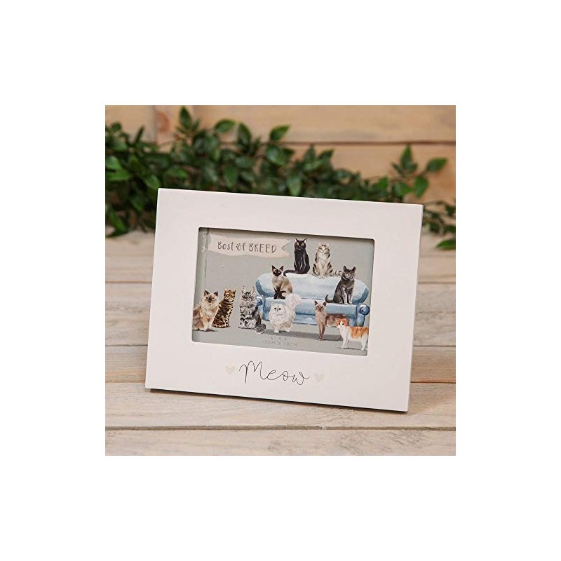 Best of Breed MEOW CAT PHOTO FRAME GIFT
