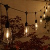 NOMA Connectable Edison Drop Festoon Garden Lights, 10 Large Warm