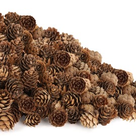 100 Pack Pine Cones, Mini Natural Pine Cones for Christmas Tree, 1.18 in Pine Cones for Crafts, Mini Pinecone Ornaments, Christmas Wreath Craft, Winter Decorations for Home Fall Decor Vase Filler