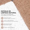 Esponja para Trastes Natural 12 Piezas, Estropajo Resistente Sin Rayos,