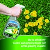 Weed Killer for Lawns Ready to Use