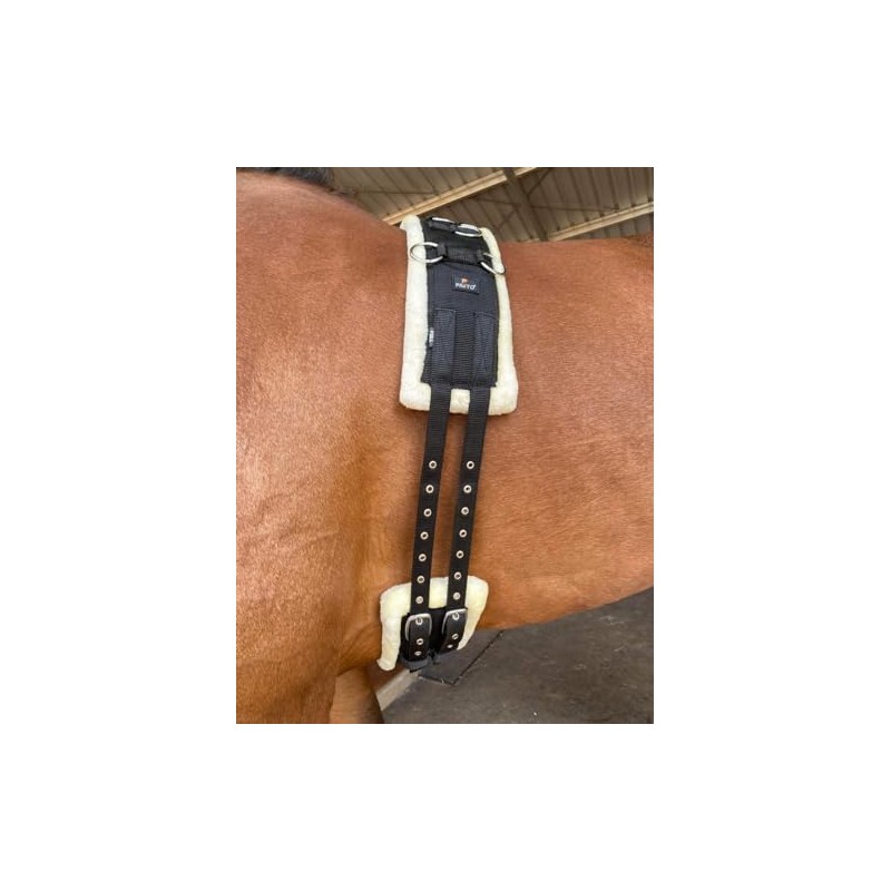 Preto Horse Training Body Roller or Lunging Girth Synthetic Nylon