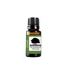 Northridge Oak - Fennel - 100% Pure Essential Oil