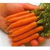 Carrot Little Finger Great Heirloom Vegetable by Seed Kingdom (1