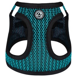 Step in Dog Harness Comfort Mesh Dog Vesr Harness Extra Small Pet Harness for Chihuahua Soft Padded Harness Lightweight Puppy Harness for Cat Doggie Outdoor Walking (Blue1, Medium)