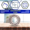Ball Bearing 6202 ZZ C3 BB1-0622DD for the Engine with