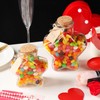 WHJY 29oz Star Shaped Glass Jar with Cork Lid for