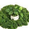 MAISONRINA 10.6OZ Fake Green Moss for Planters Outdoor Indoor Decorating