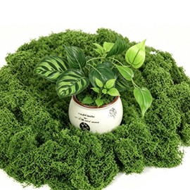 MAISONRINA 10.6OZ Fake Green Moss for Planters Outdoor Indoor Decorating