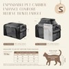 Top-Expandable Pet Carrier with Treat Pet Window,17x11x9.5 Airline Approved