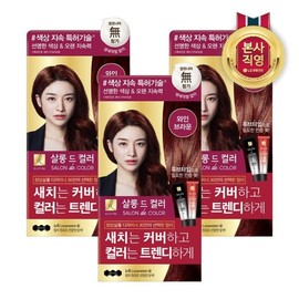 Elastin Salon de Color Hair Dye Wine Brown 100g x 3 packs / 엘라스틴 살롱드컬러 염색약 와인브라운 100g x 3개
