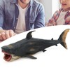 Sharks Model Simulation Marine Ocean Sea Life Toy Animal Rare