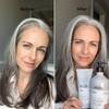 Silver Professional Conditioner 200 ml