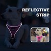 haapaw Dog Harness with Leash Set, No Pull Adjustable Reflective