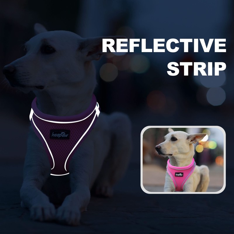 haapaw Dog Harness with Leash Set, No Pull Adjustable Reflective