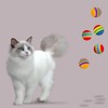 Rumyve 12 Pcs Rainbow Cat Toy Balls - Interactive Indoor