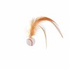 Eedoeccs Cat Toy, Cat Toy, Interactive Cat Ball, Winged Cat