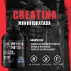 Creatina Monohidratada 1kg Wild Bear 200 Servicios Varios