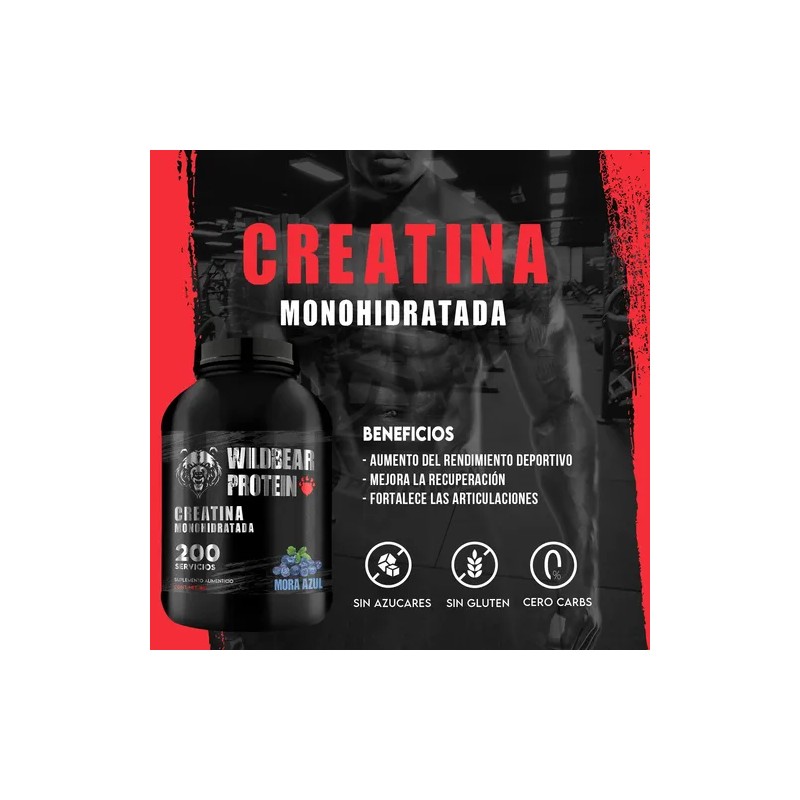 Creatina Monohidratada 1kg Wild Bear 200 Servicios Varios