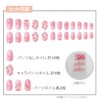 Santan Sanrio Characters Nail Tip, Chromi, Pack of 24