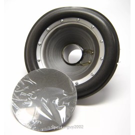 Rockford Fosgate OEM Rockford Fosgate 10" Recone Kit / P210S8 / 8 Ohm