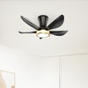 DAMINY 30 Inch Black and Gold 5 Blade Ceiling Fan
