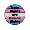 Support Trans Rights Enamel Pins - Protects Trans Kids and