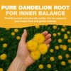 HANDPICK, Dandelion Root & Leaf Tea Bags (100 Herbal Tea
