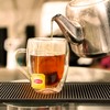 Lipton Black Tea Bags, Hot or Iced, Black tea with