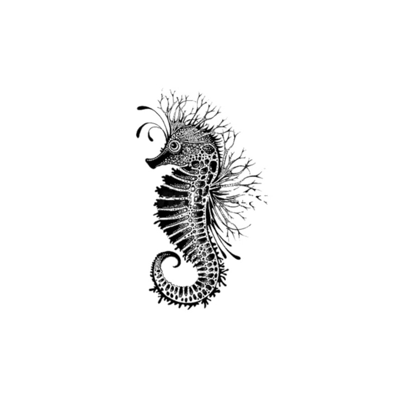 Lavinia Stamps, Clear Stamp - Sebastian The Seahorse