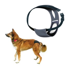 Trixie Protective Dog Pant, Medium, Black