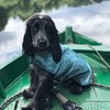 Mutt and Bailey Dog Drying Coat – Microfibre Towel Robe