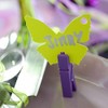 Pegs Pack of 12 Approx. 3.5 cm Wood Apple Green