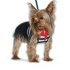 DOGO EasyGo Sailor Harness - Red - Large