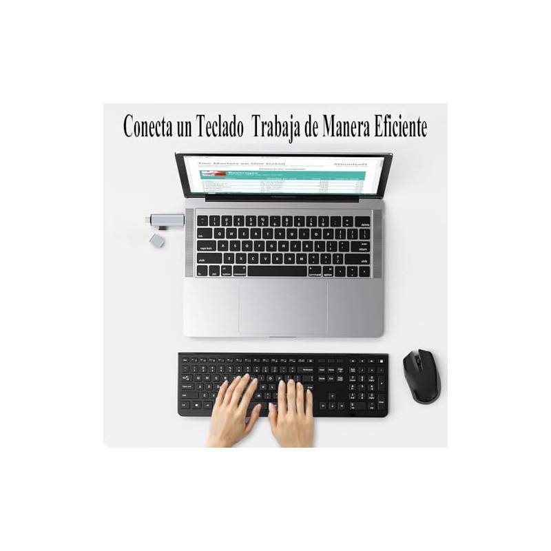 4 en 2 Lector de Tarjetas USB C y USB