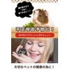 Croixx Hamster Toothpaste (Natural Wood), Rabbit, Tegu, Small Animal, Toy,