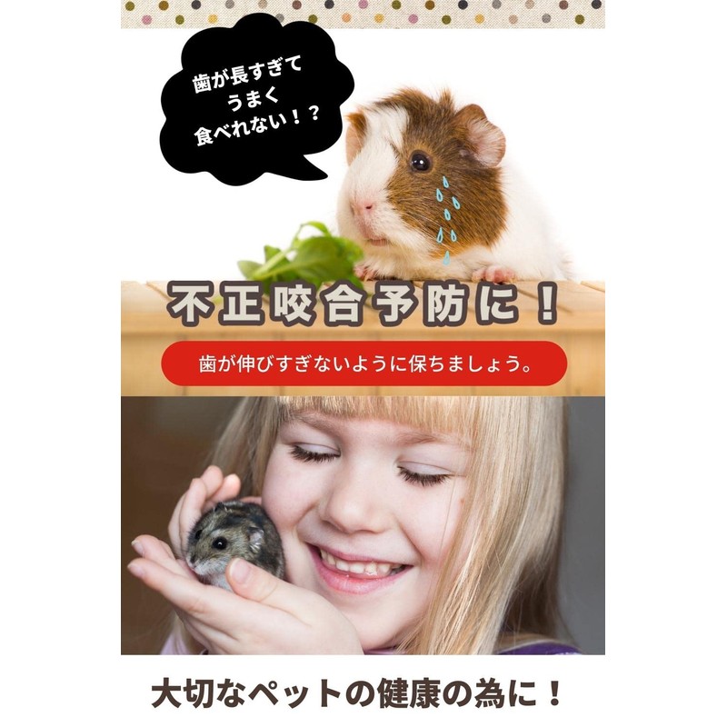 Croixx Hamster Toothpaste (Natural Wood), Rabbit, Tegu, Small Animal, Toy,