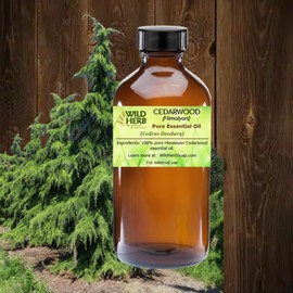 Wild Herb Himalayan Cedarwood Pure Essential Oil sourced from a USDA and ISO 9001 Certified Organic Supplier