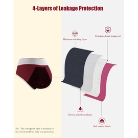 Incontinence Underwear for Women, Leakproof Underwear for Women (Black/Burgundy/Green, XXX-Large)