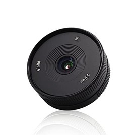 AstrHori 14mm F4.5 Ultra Wide Angle APS-C Manual Lens Strong Anti-Distortion with Filter Slot Compatible with Sony E-Mount Mirrorless Camera A6000,A6300,A6400,A6500,A5100,A5000,A6600,NEX-3(Black)
